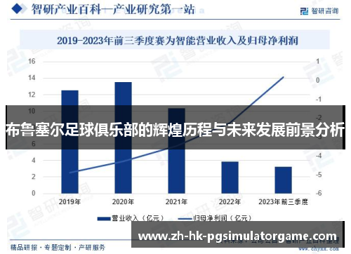 布鲁塞尔足球俱乐部的辉煌历程与未来发展前景分析