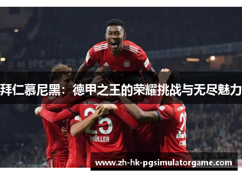 拜仁慕尼黑：德甲之王的荣耀挑战与无尽魅力