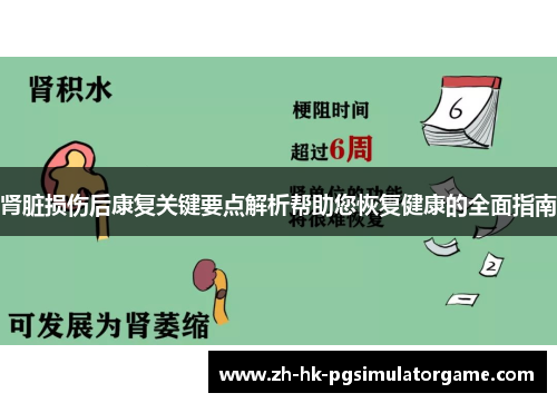 肾脏损伤后康复关键要点解析帮助您恢复健康的全面指南