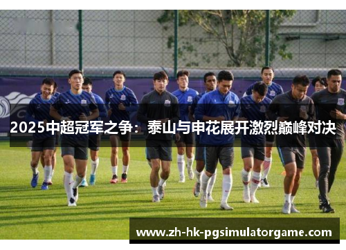 2025中超冠军之争：泰山与申花展开激烈巅峰对决