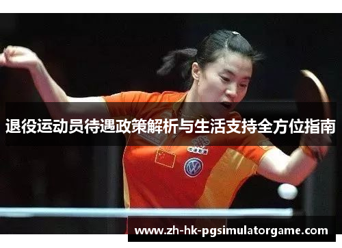 退役运动员待遇政策解析与生活支持全方位指南